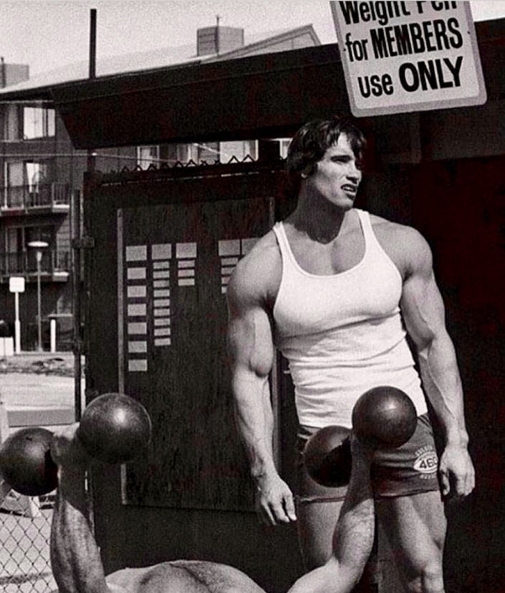 Арнольд Шварценеггер 1989