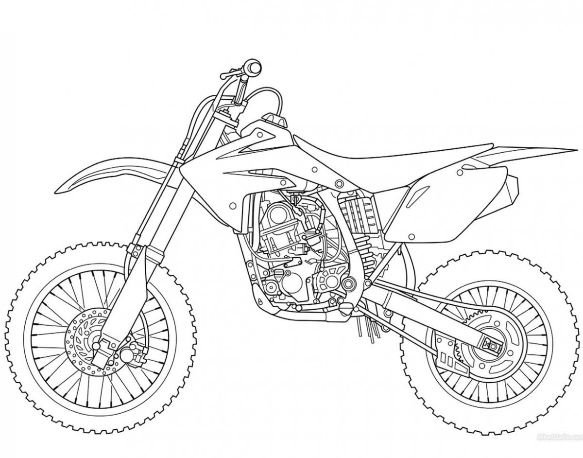График мощности Honda Hornet 600