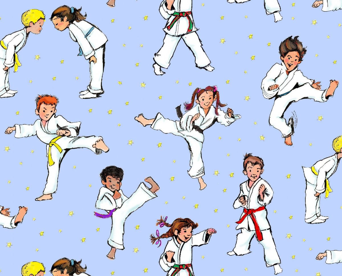 Shito Ryu Karate в России