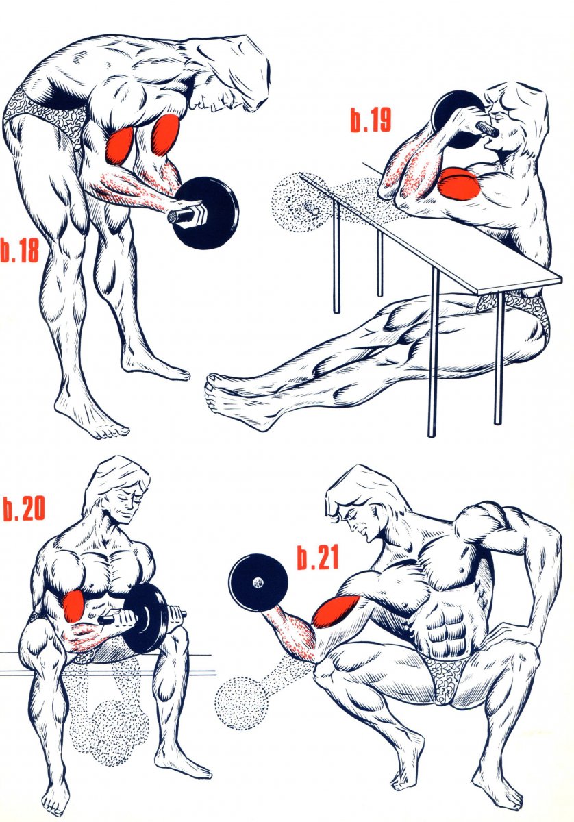 Схема прокачки мышц