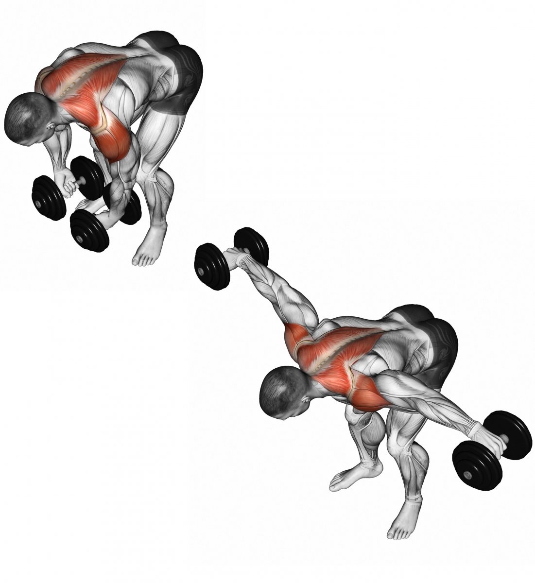 Схема качания мышц