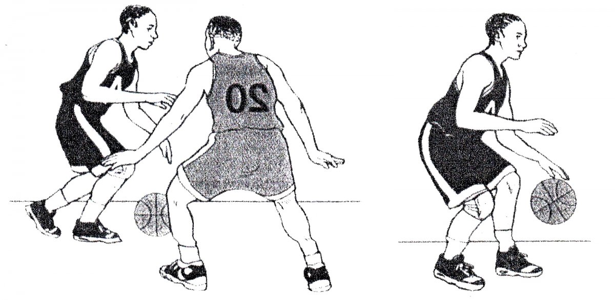 Техника ведения баскетбольного мяча на месте