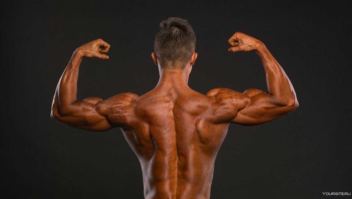 Здоровая спина мышцы