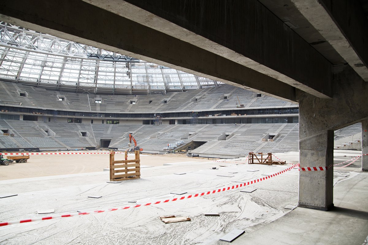 Большая спортивная Арена Лужники d118