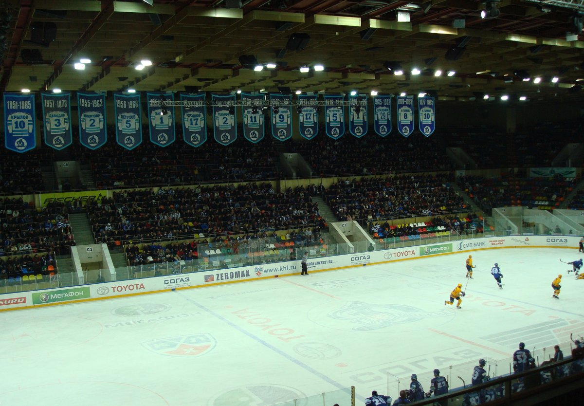 Лужники хоккейная Арена