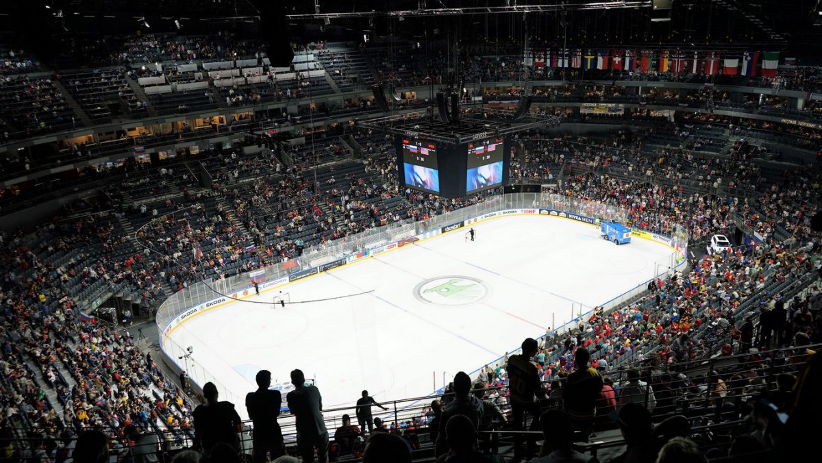 Лужники хоккейная Арена