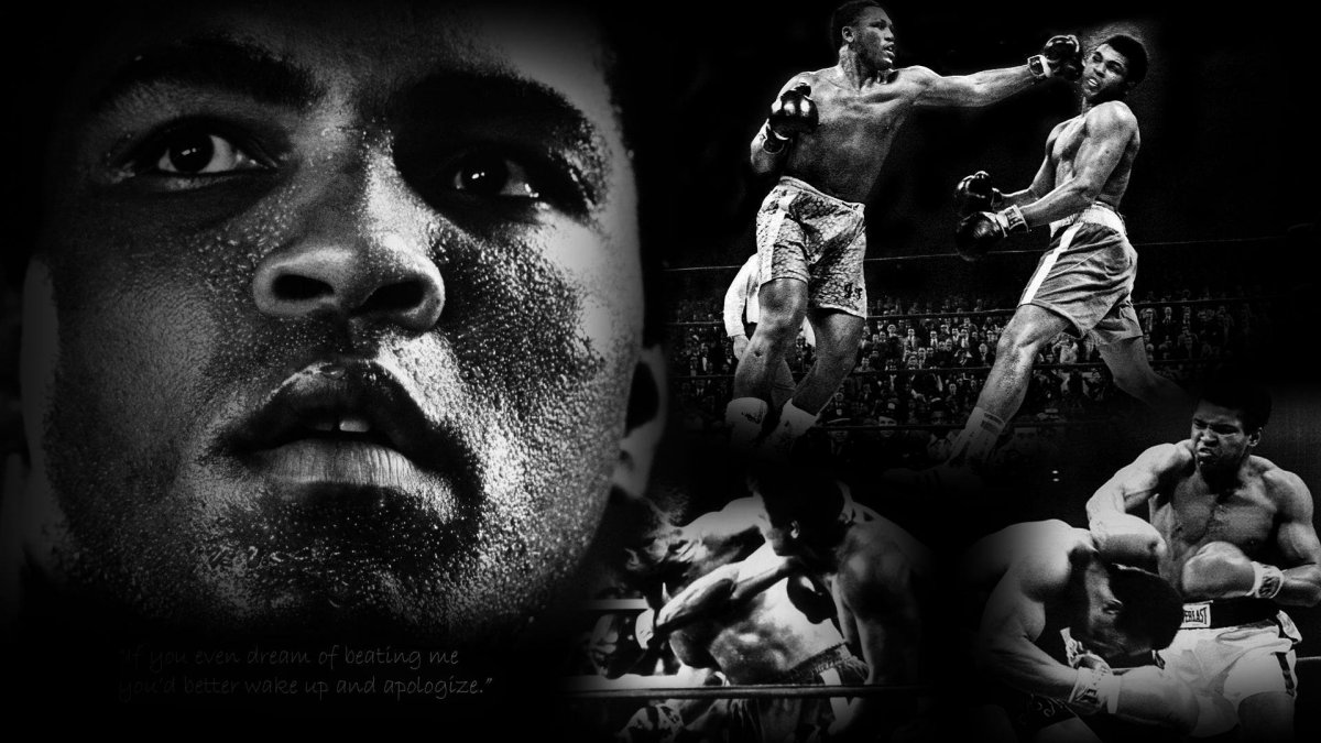 Real Boxing (2014)