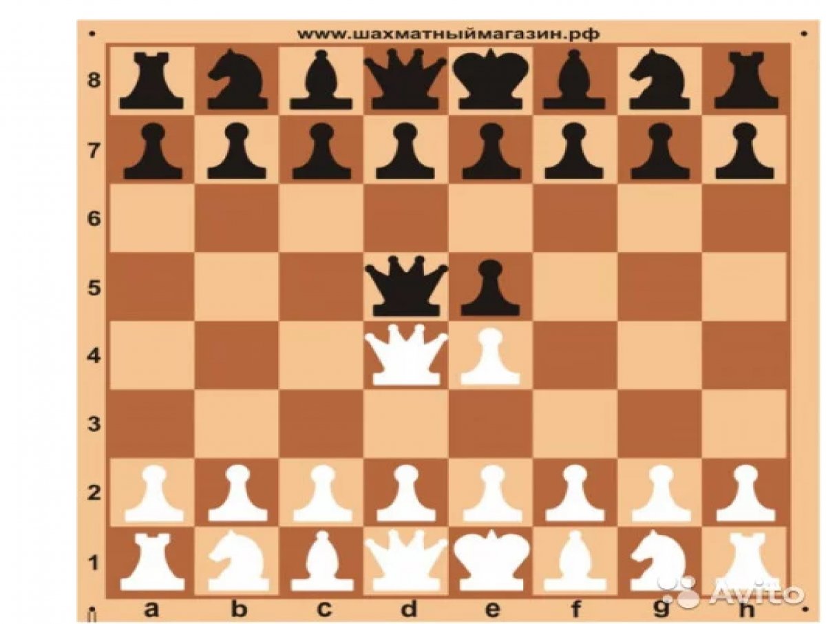 Шахматы тф2