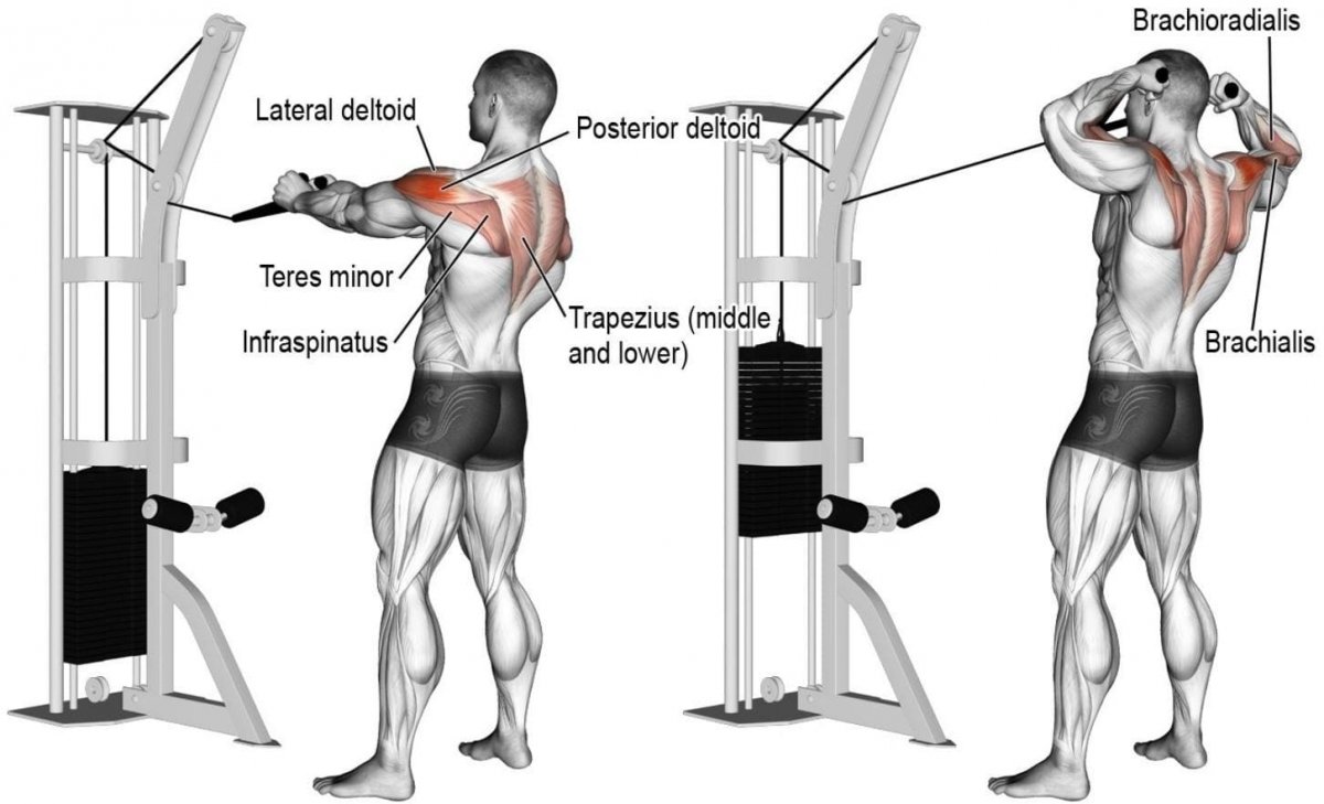 Cable Rear delt Fly