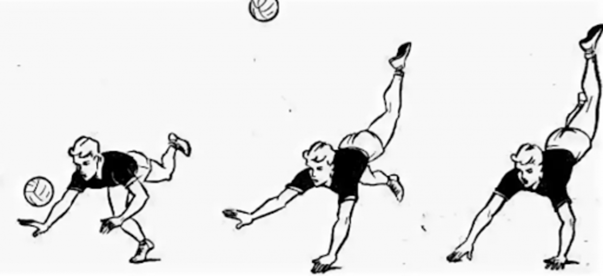 Техника нападающего удара в волейболе