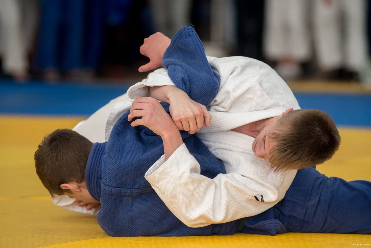 Judo vs BJJ