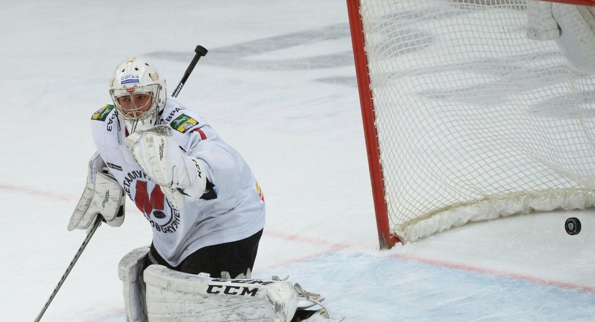 Дмитрий Воронков хоккеист