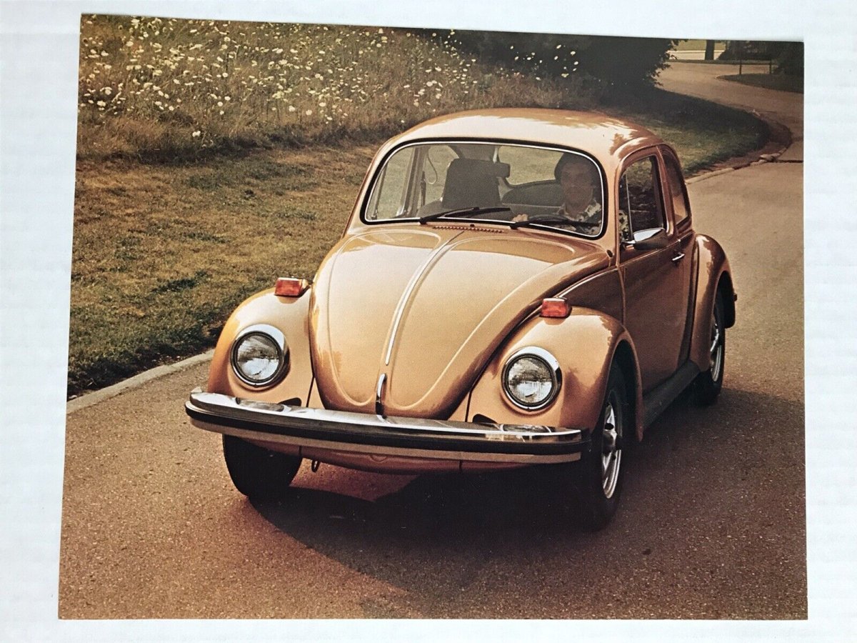VW Beetle и Жук