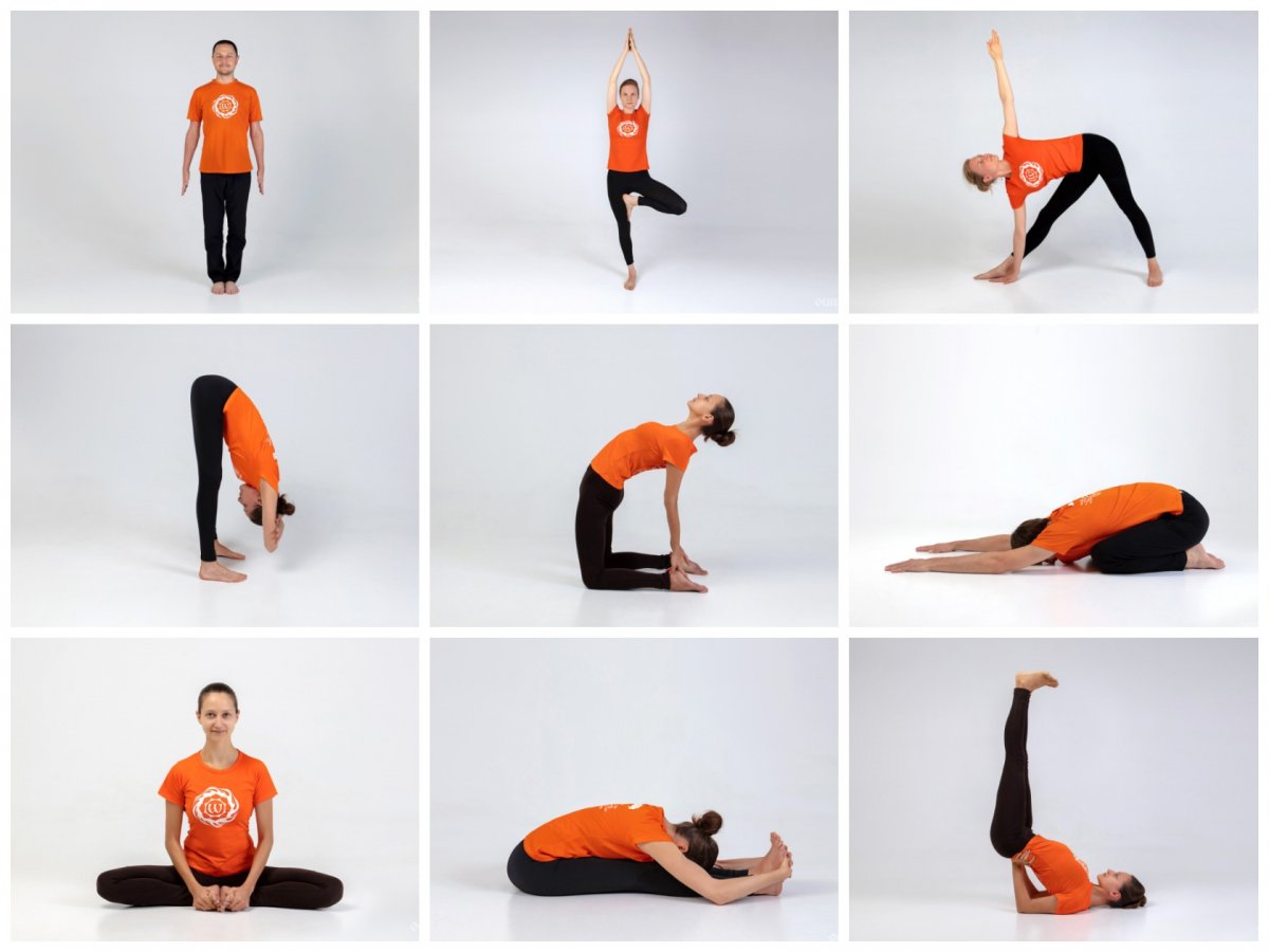 Хатха йога упражнения для начинающих