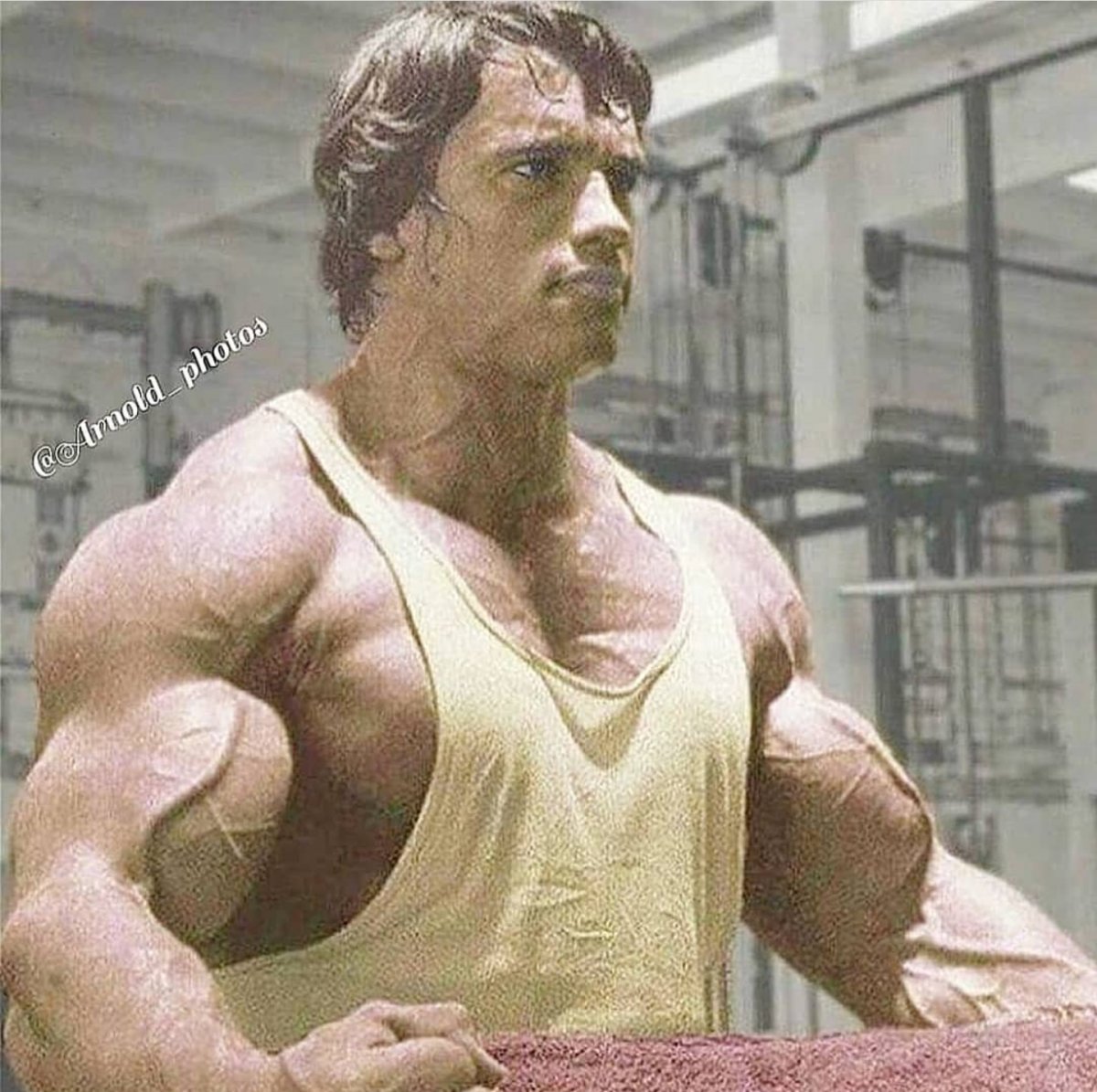 Arnold Schwarzenegger 1998
