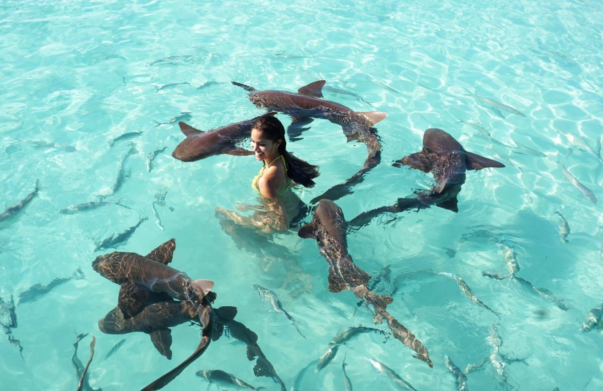 Девушка Мальдивы акула