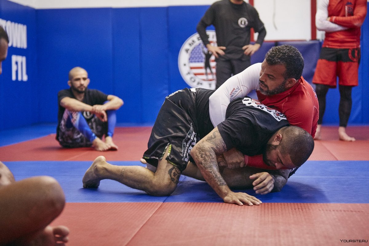 ММА грэпплинг