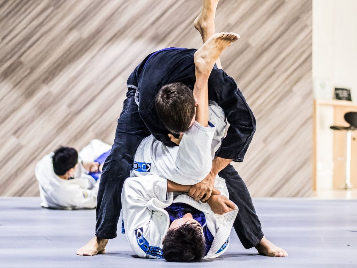 Грэпплинг Гарт