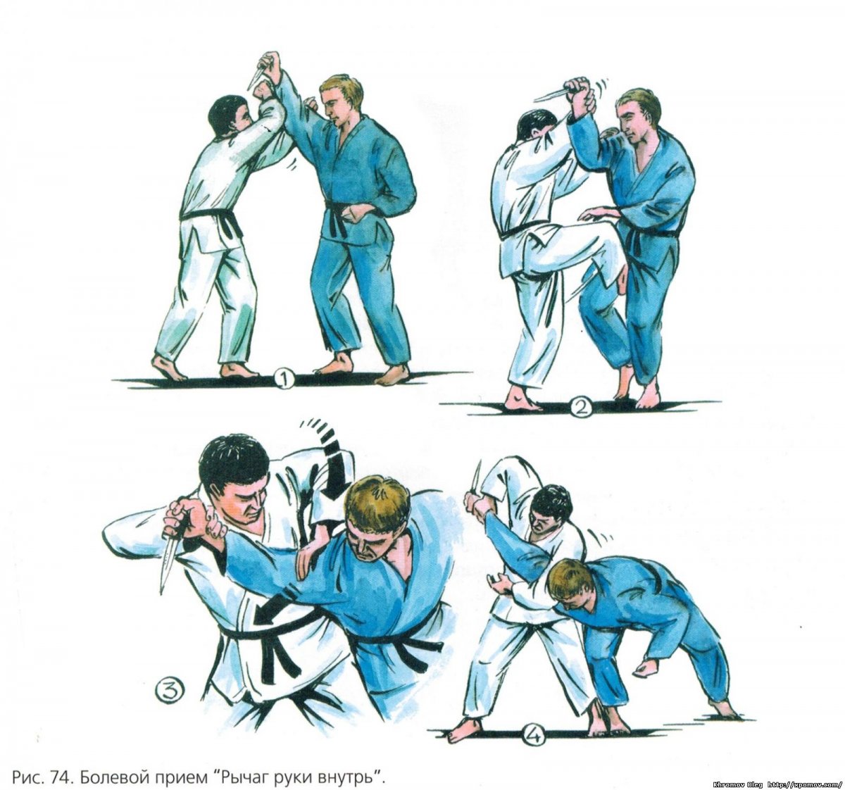 Болевые приемы в самбо