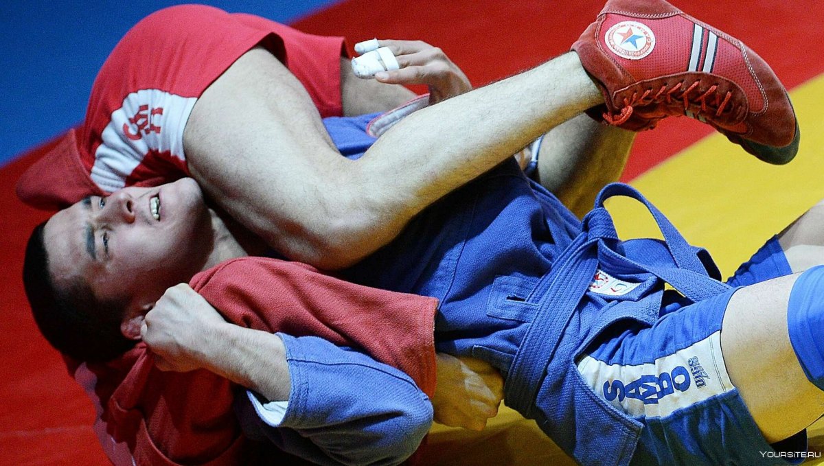 Дзюдо броски через бедро