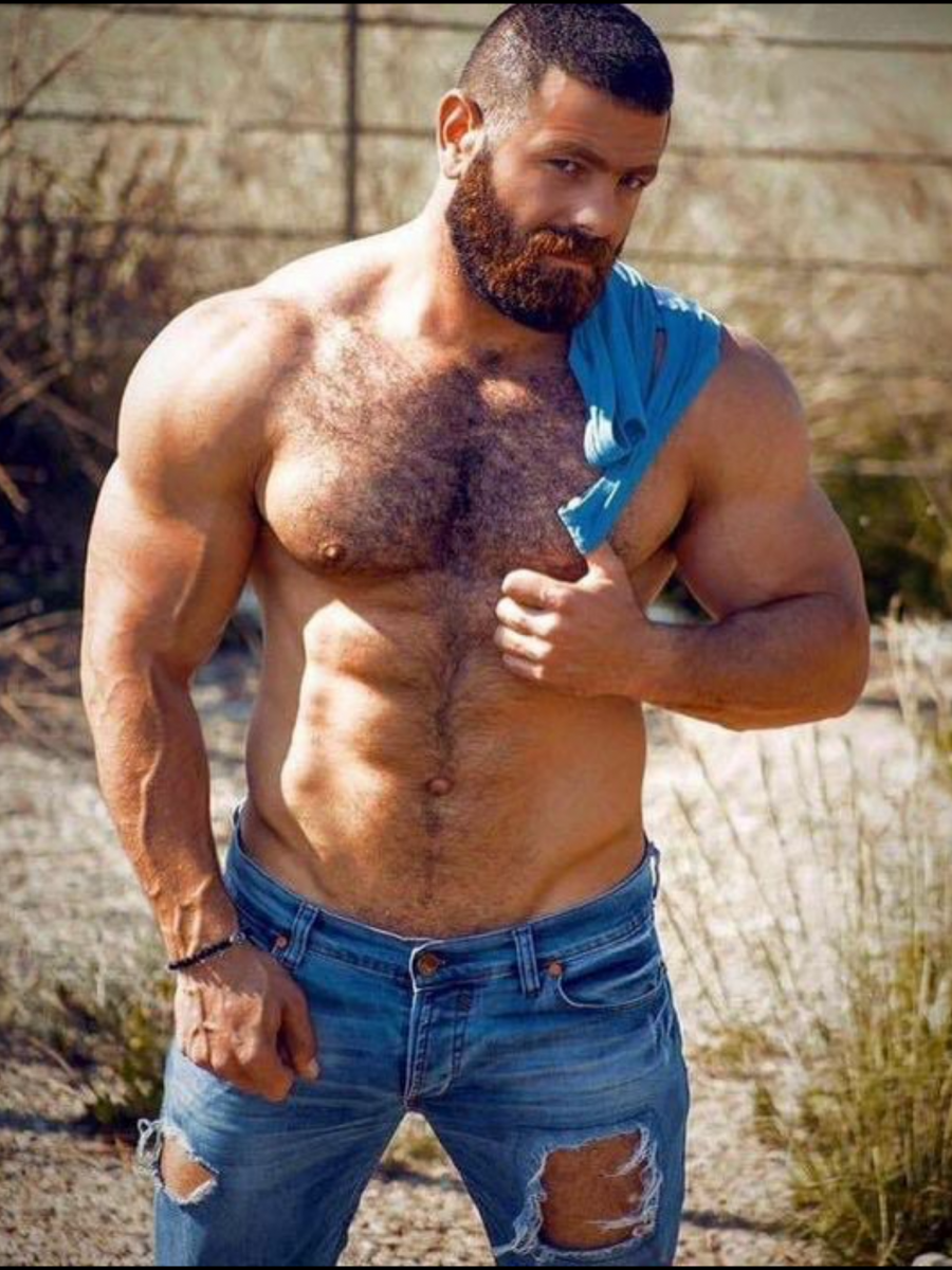 Andre Hofmann член