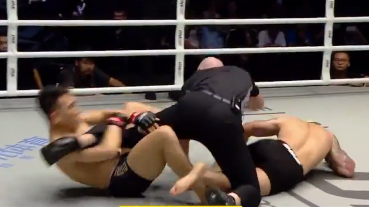 Джиу джитсу болевые приемы на руки