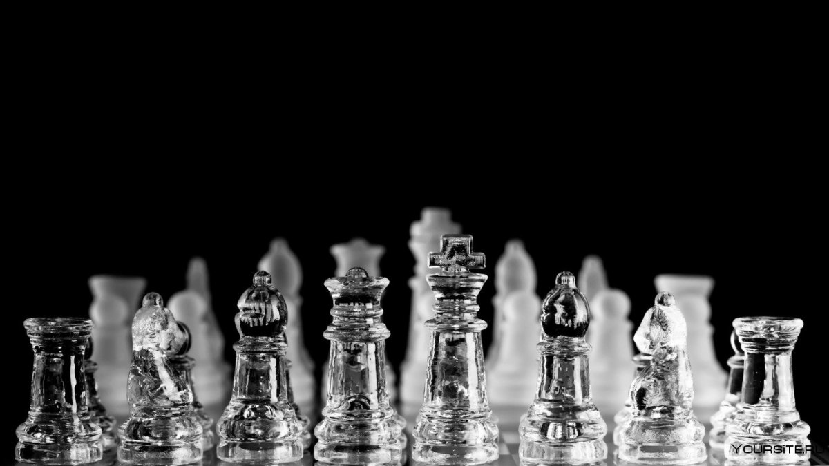 Белые фигуры на шахматной доске
