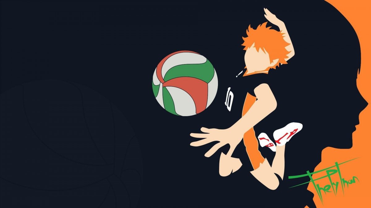 Haikyuu мяч