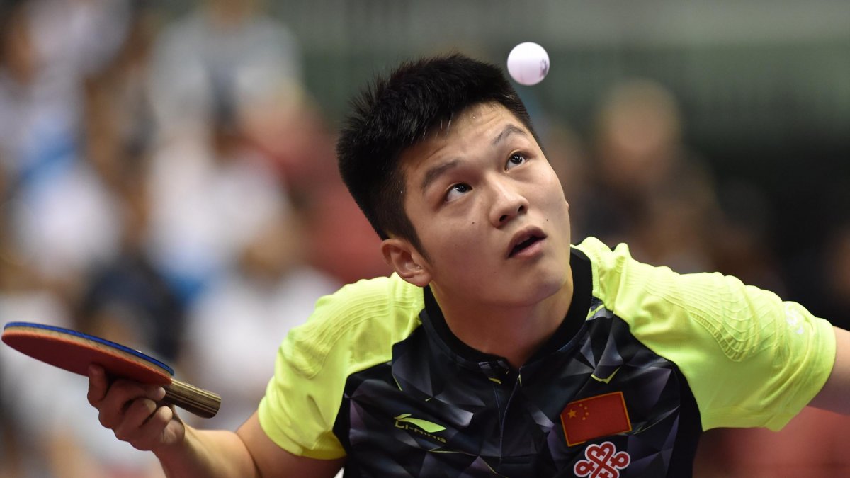 Настольный теннис Fan Zhendong