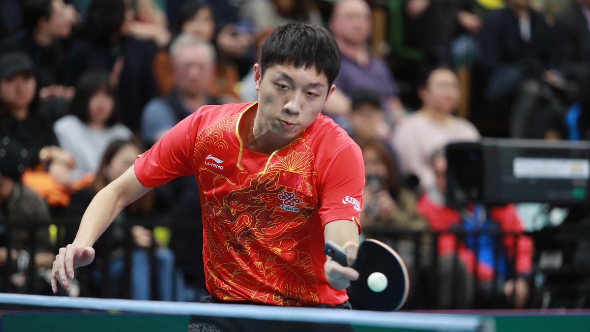 Fan Zhendong 2021