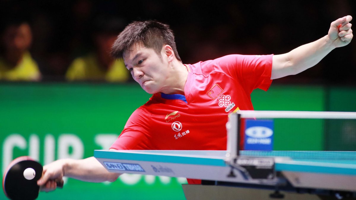 Fan Zhendong 2021