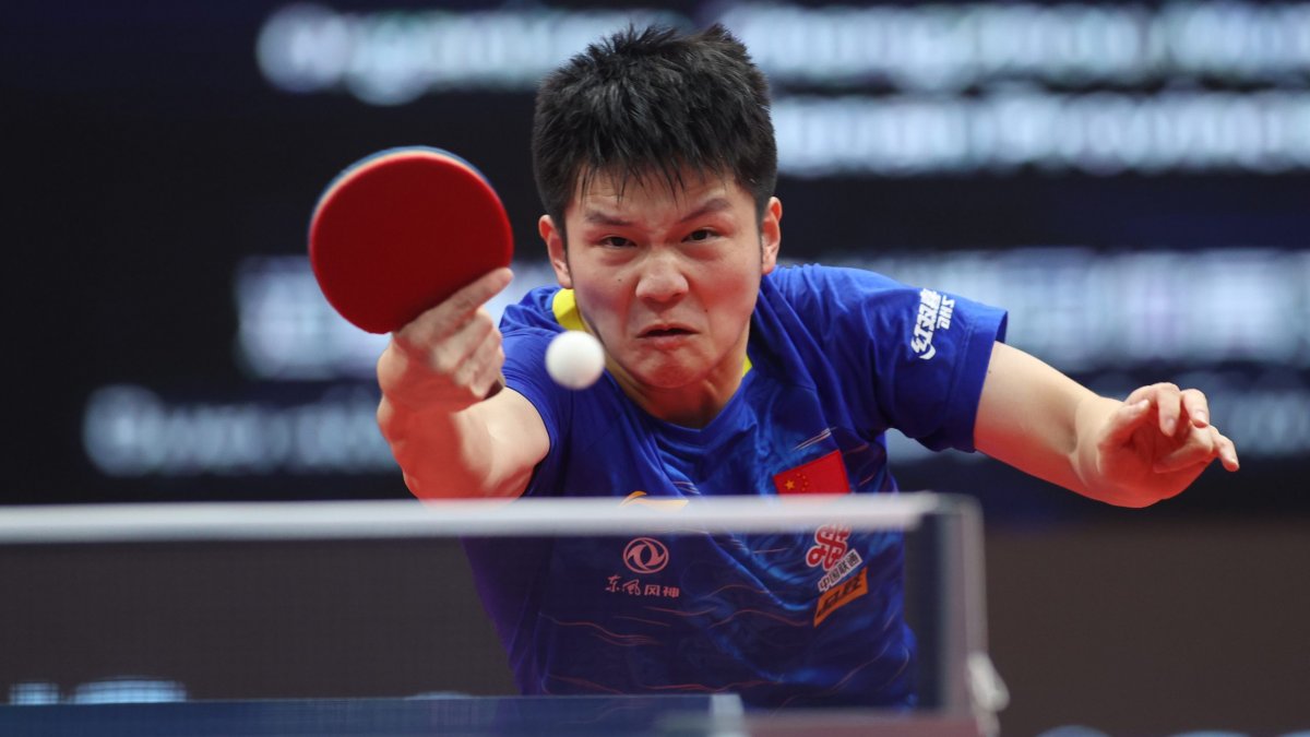 Fan Zhendong