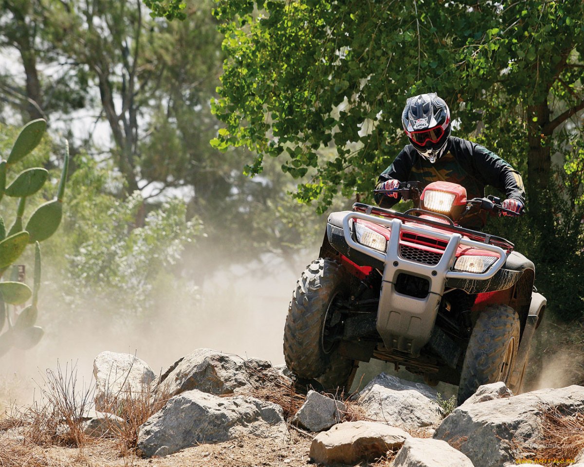 Honda TRX 500 2020 Black