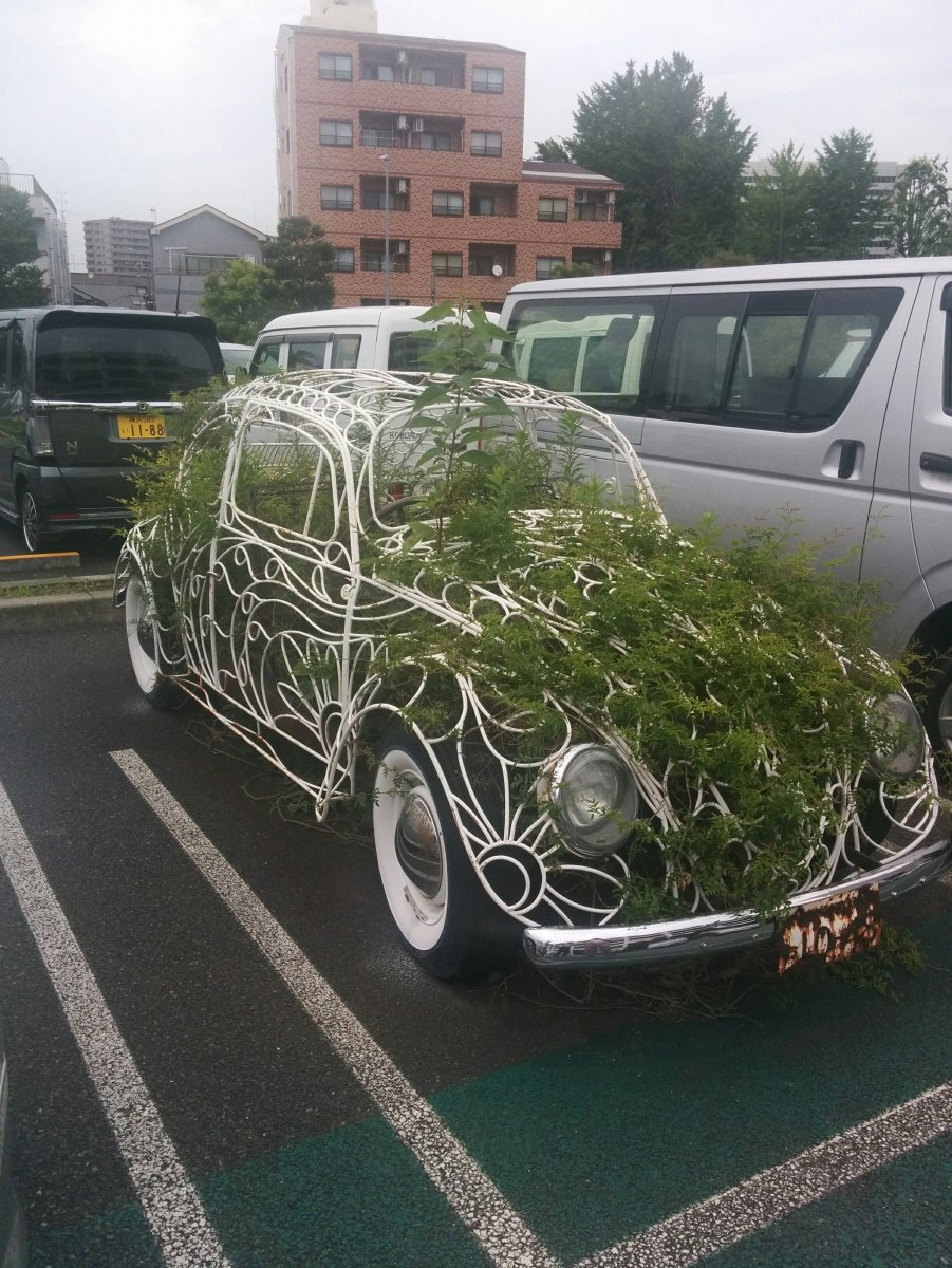 Самые смешные машины