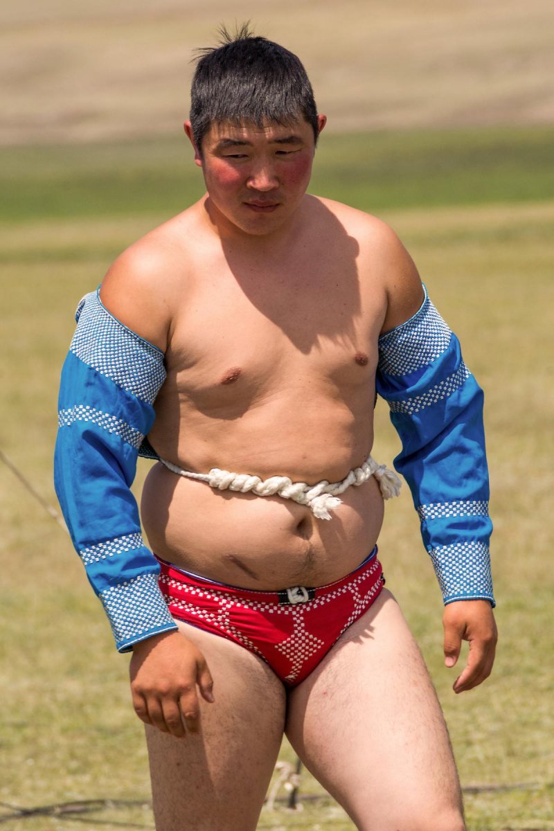 Монголия борьба
