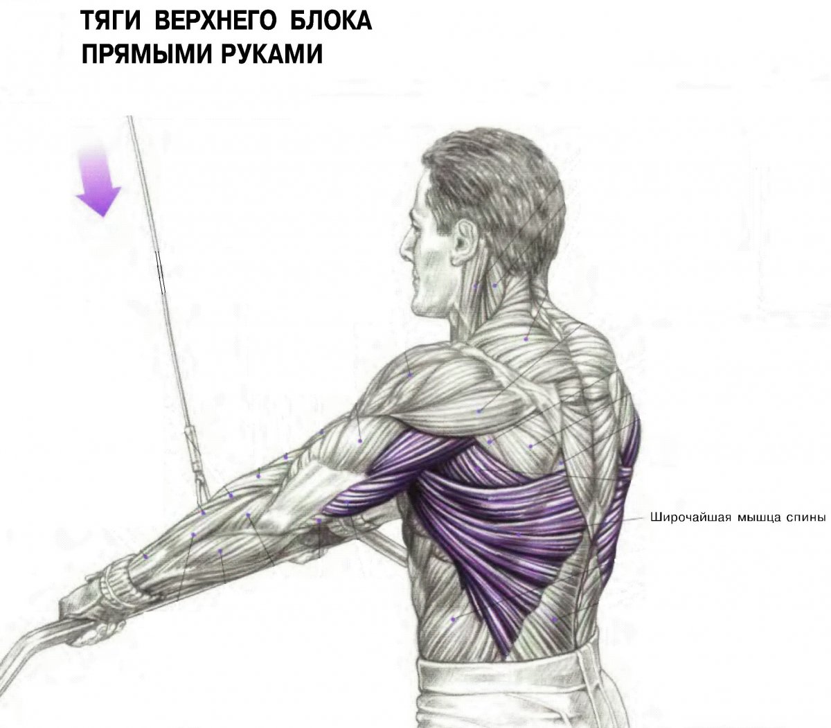Сгибание рук с верхнего блока в кроссовере