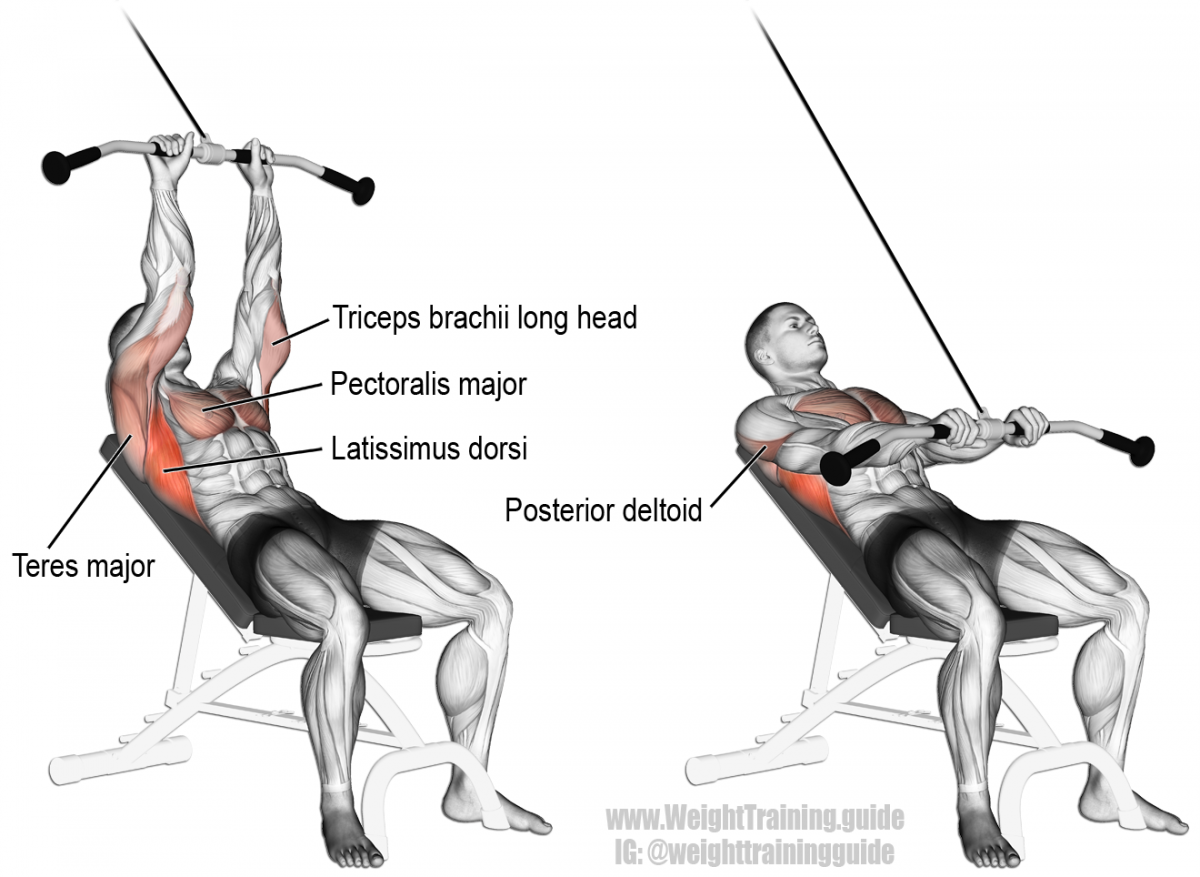Triceps Rope Pushdown