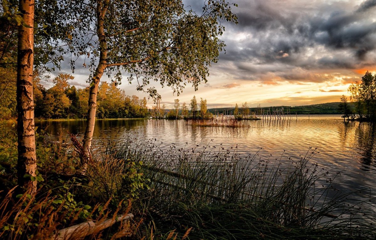 Озеро Березай Новгородская область