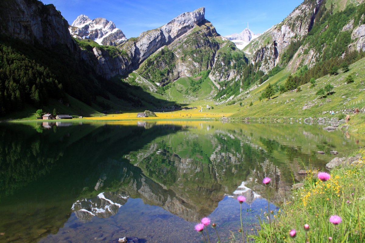 Озеро Зееальп лес Швейцария