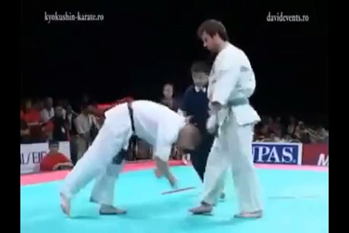 Каратэ киокушинкай бои