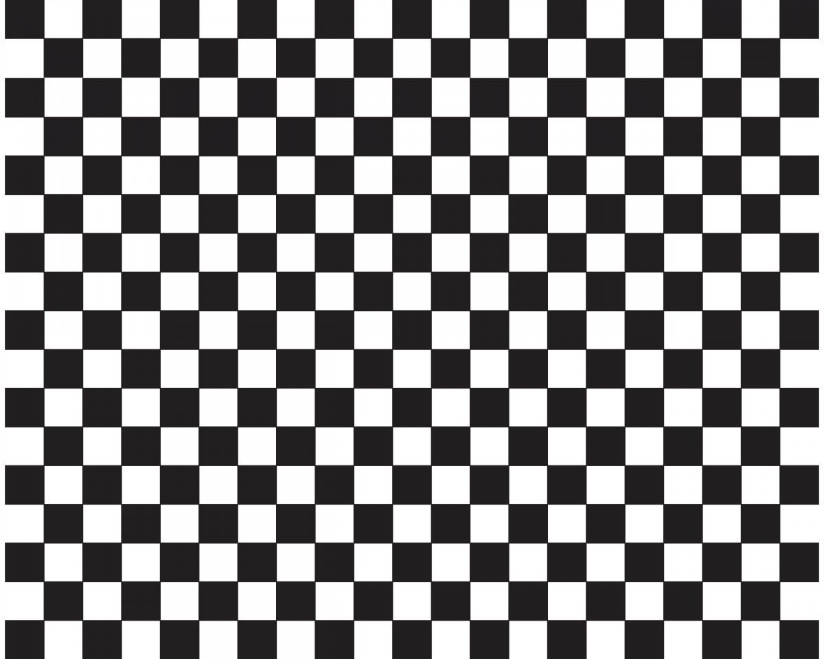 Lens Distortion Grid