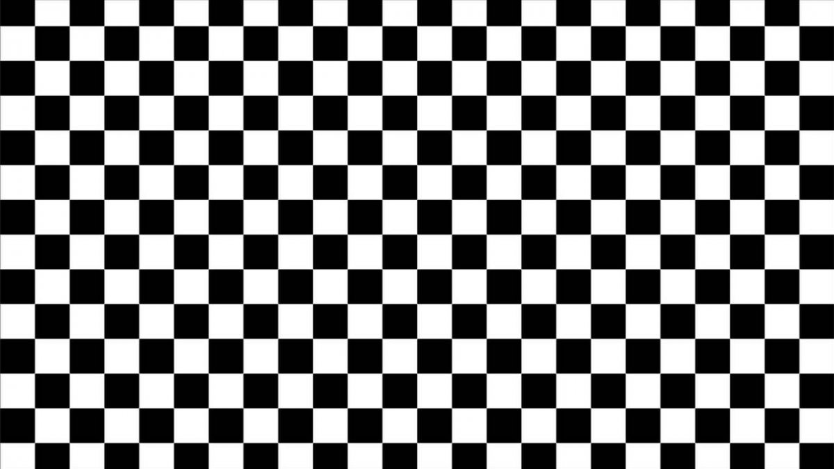 Distortion Grid