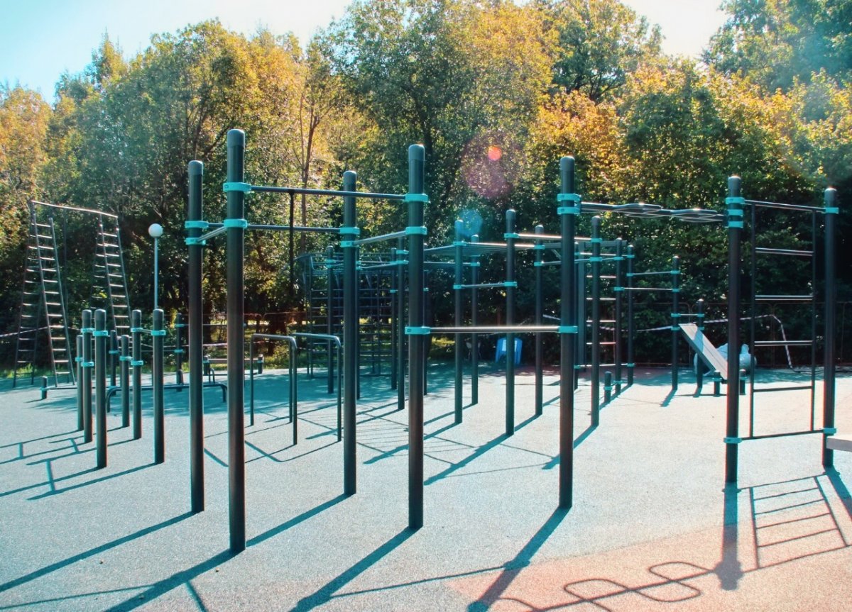 Воронцовский парк Workout