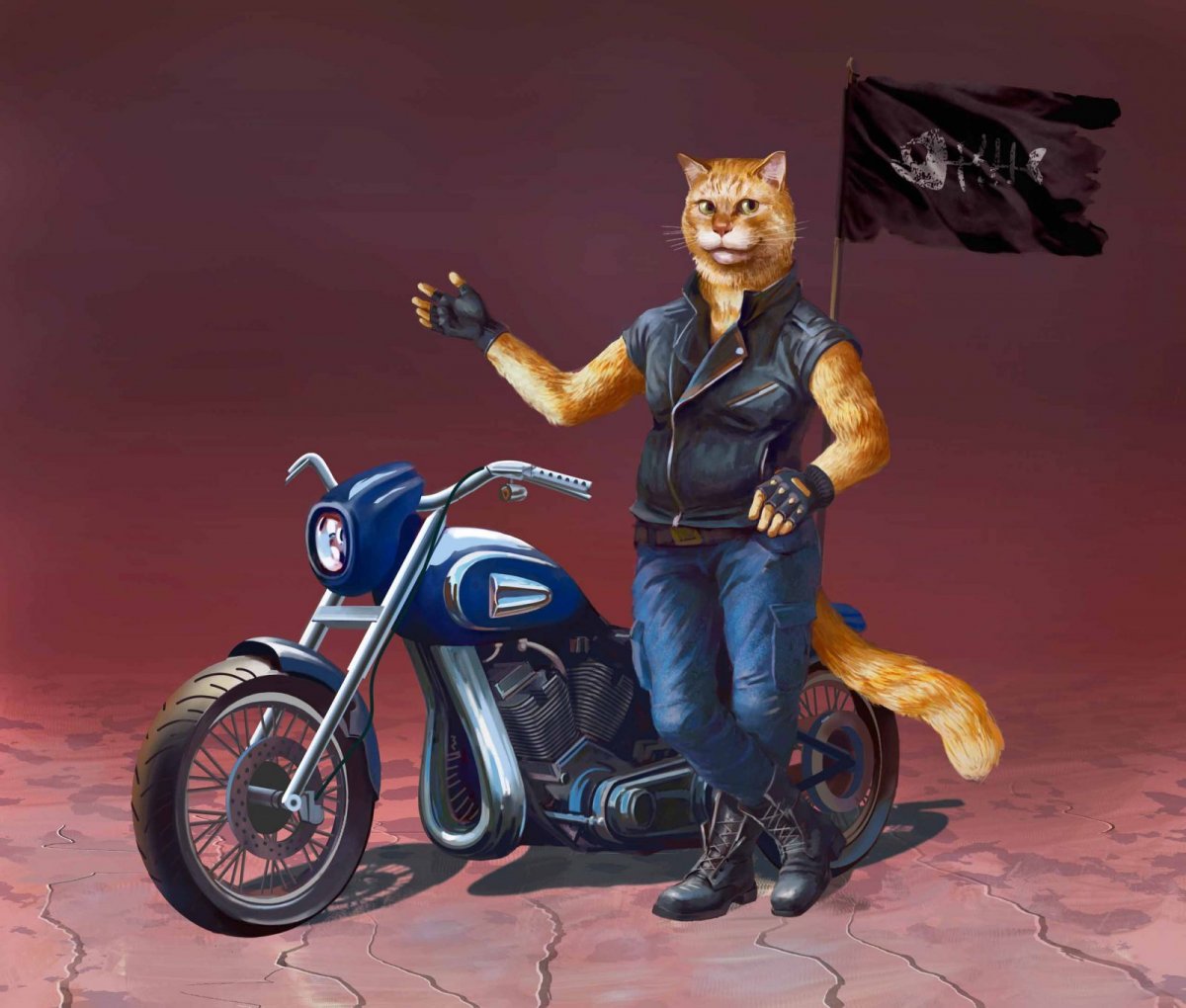 Кошка на мотоцикле