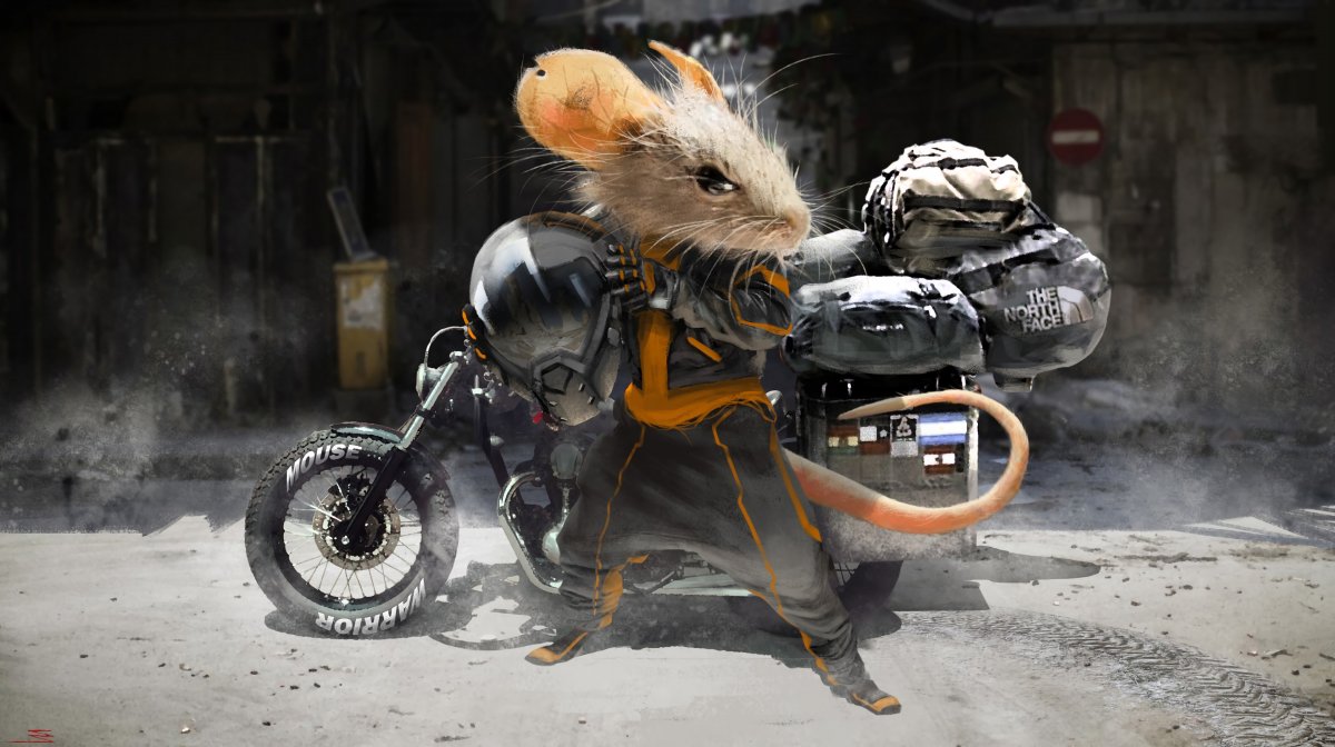 Мышь на мотоцикле