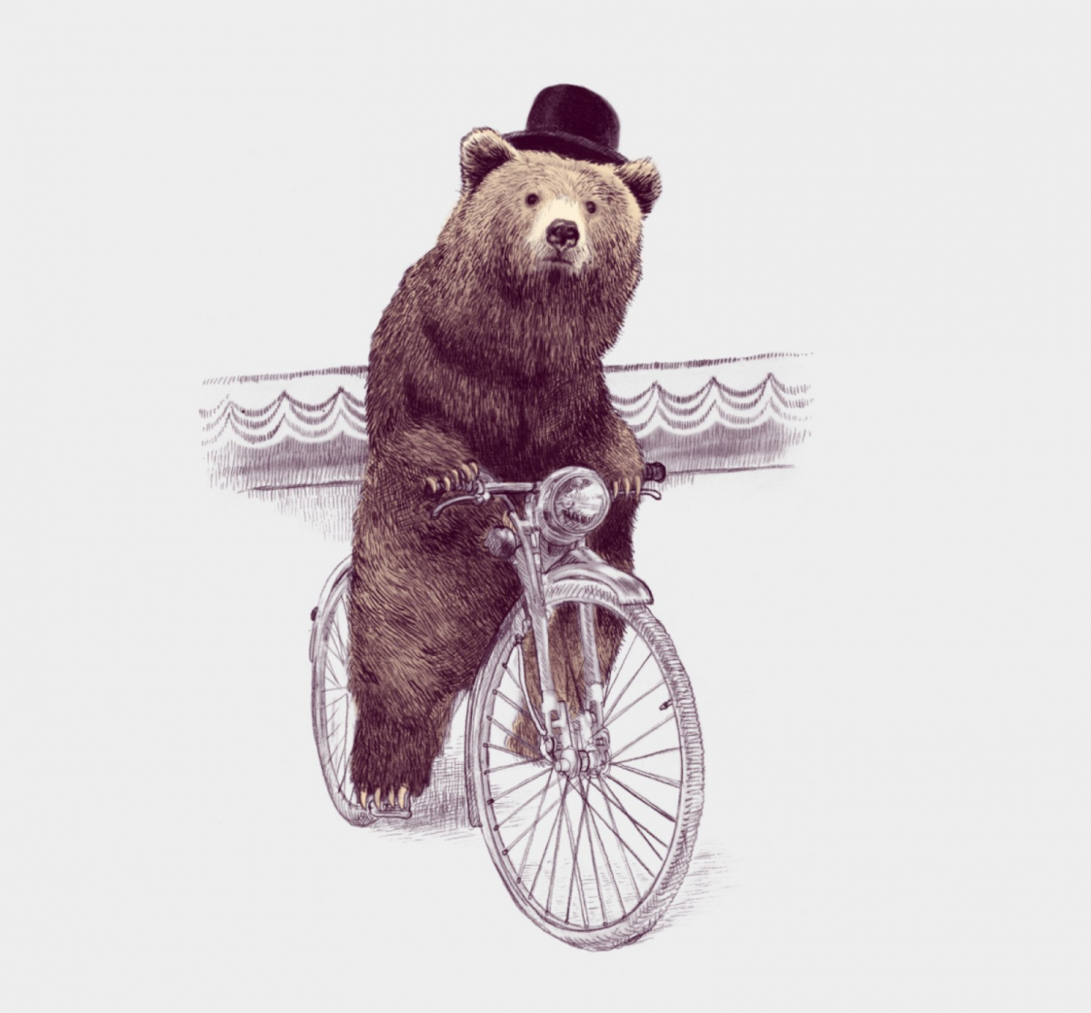 Медведь за рулем