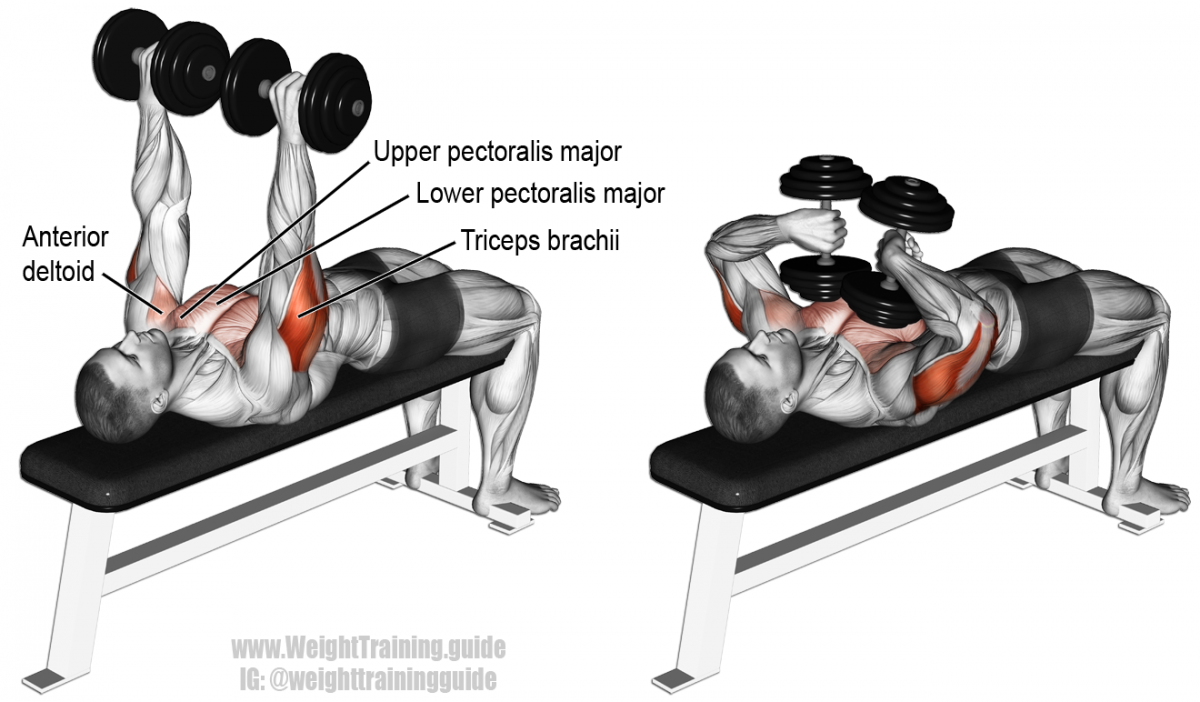 Barbell Shoulder Press упражнение