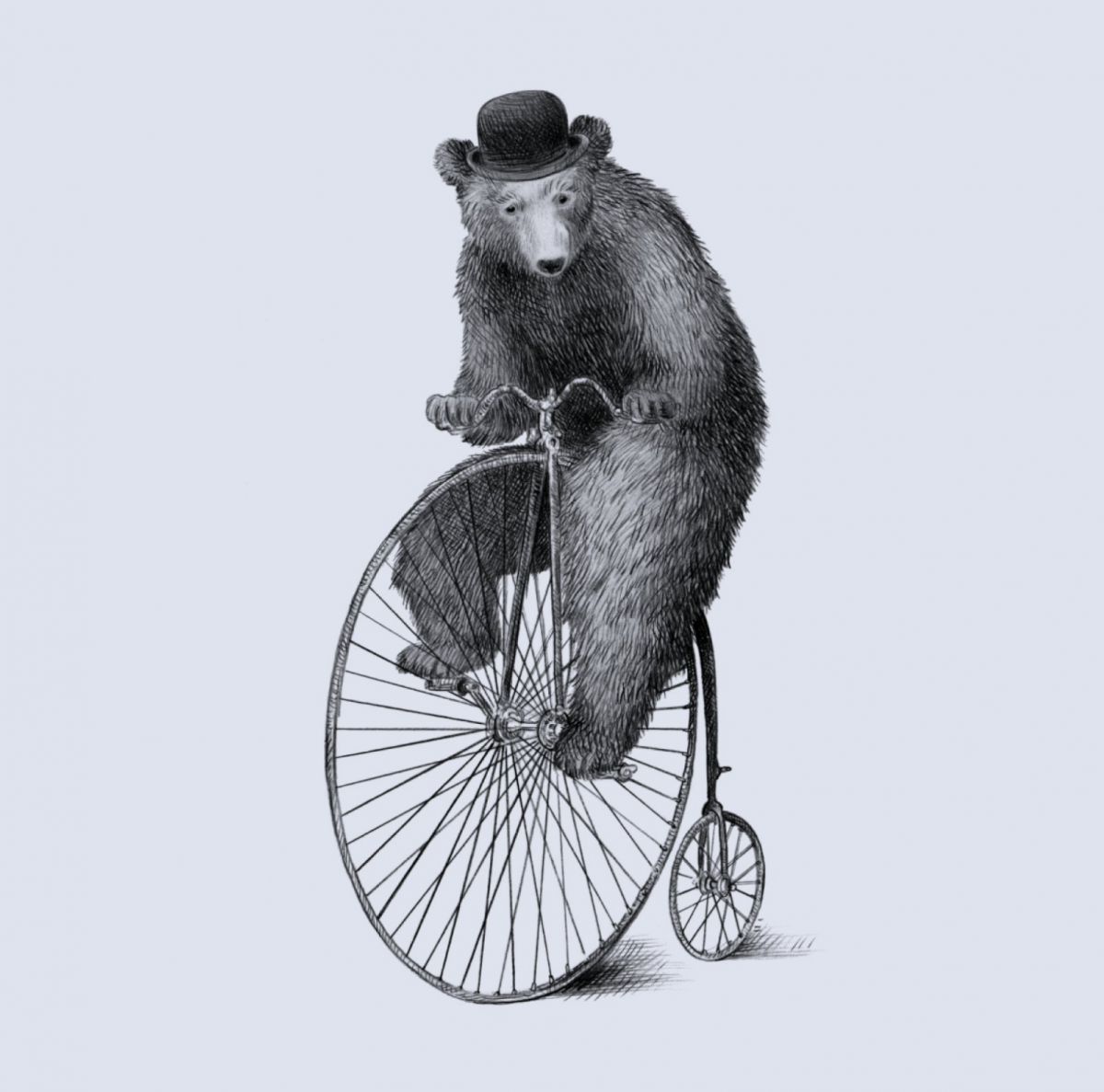 Мишка на велосипеде вектор