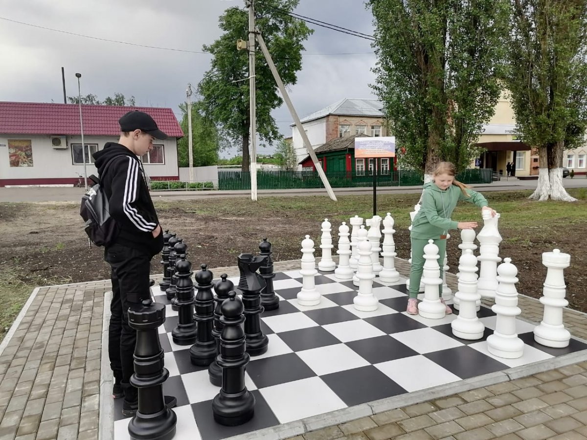 Шахматы в Малаховском парке
