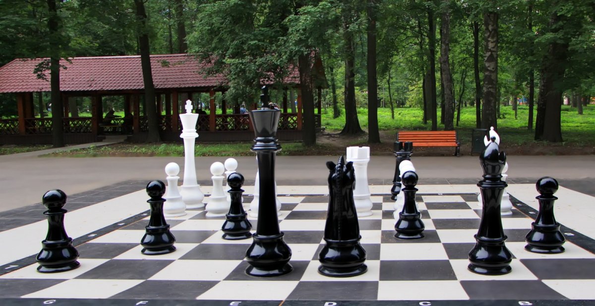 Парк Царицыно шахматы